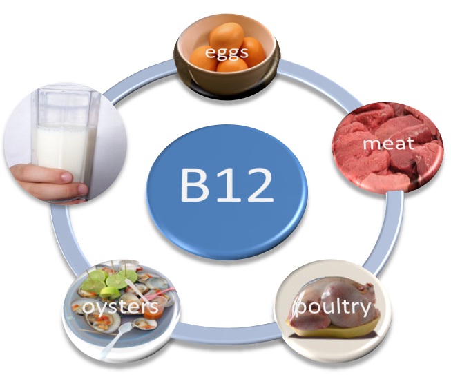 vitamin-b12-cobalamin-importance-for-your-body