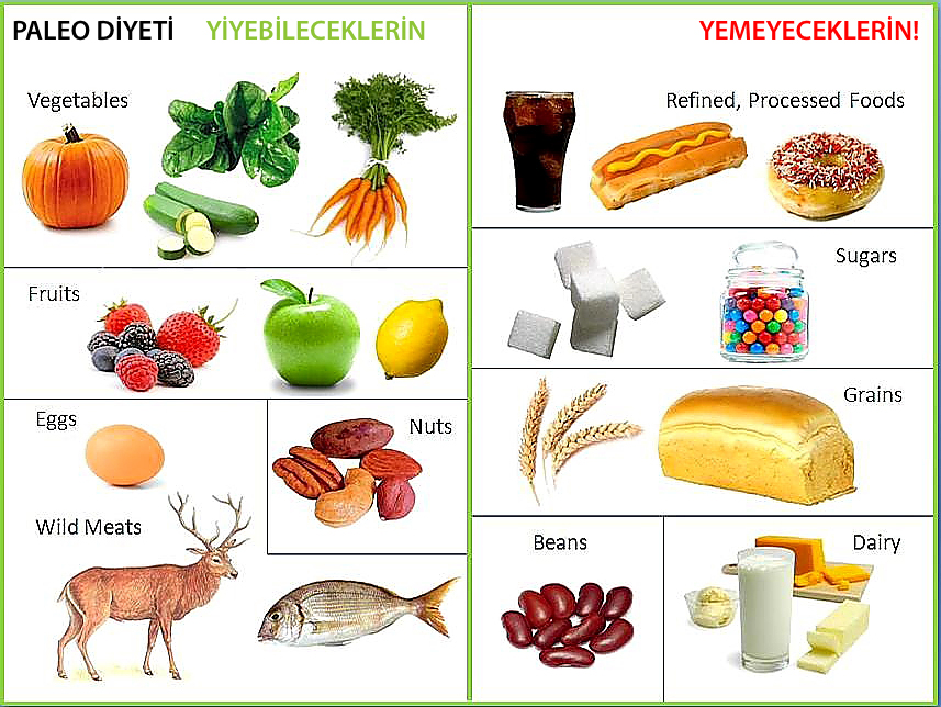 Alimentos permitidos dieta paleo