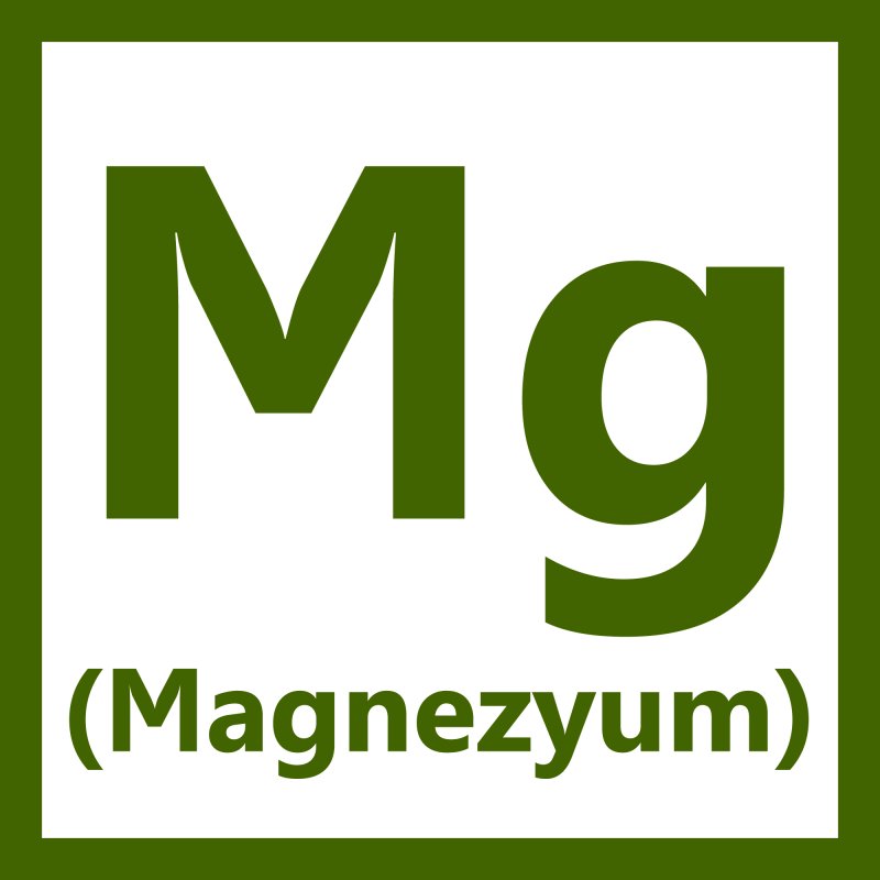 magnezyum-mg