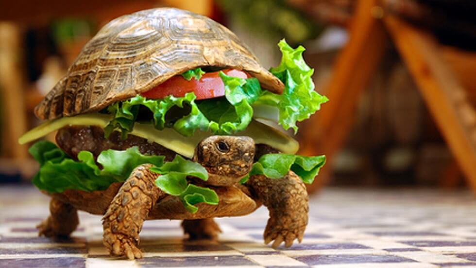 turtle-burger-l-slow-food-diyetixyen