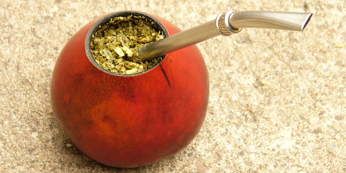 yerba-mate